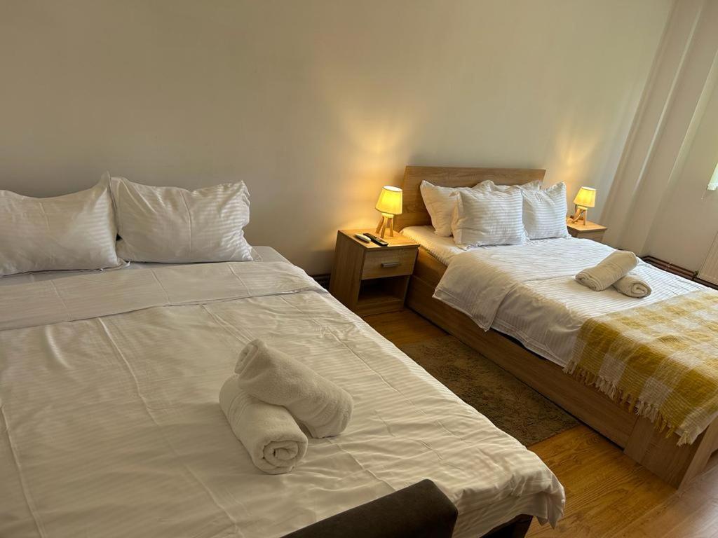 Jad - Family - Apartments - Zorilor Μπρασόβ Εξωτερικό φωτογραφία