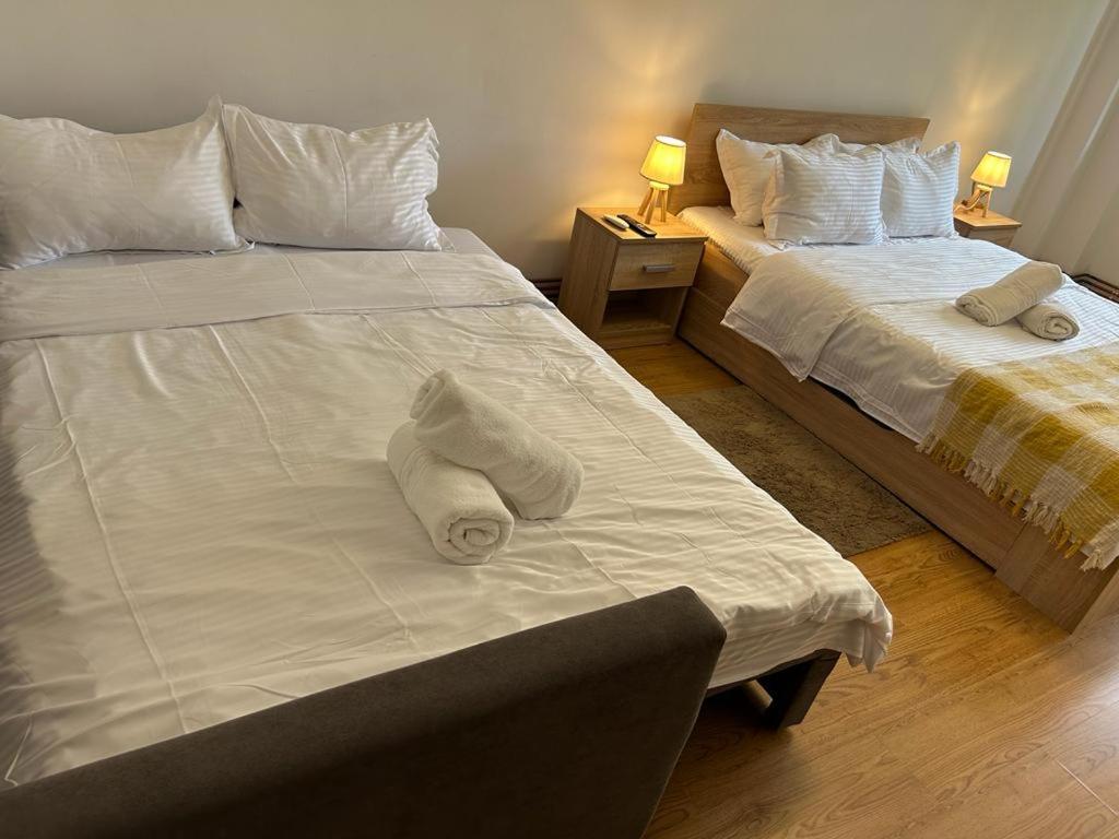 Jad - Family - Apartments - Zorilor Μπρασόβ Εξωτερικό φωτογραφία